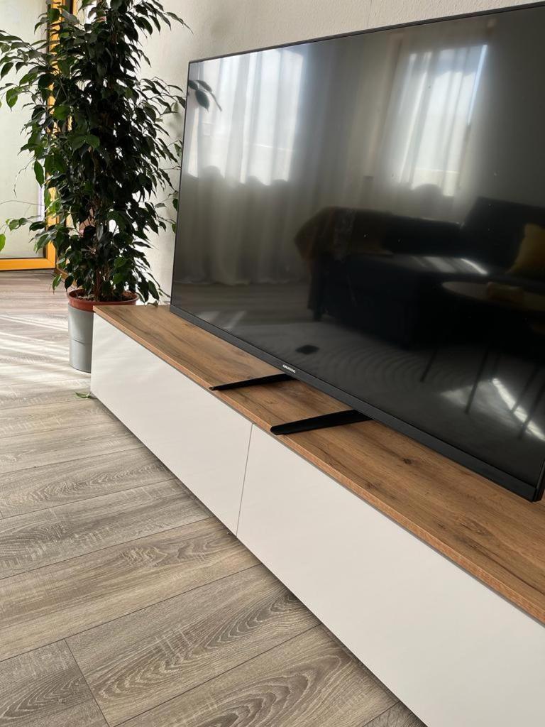 Schoene Zentrale Naehe Hb Appartement Germersheim
